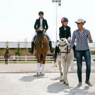 уроки верховой езды в Equides Club