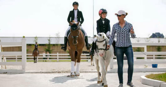 уроки верховой езды в Equides Club
