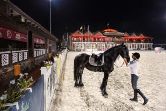 урок верховой езды в загородном клубе