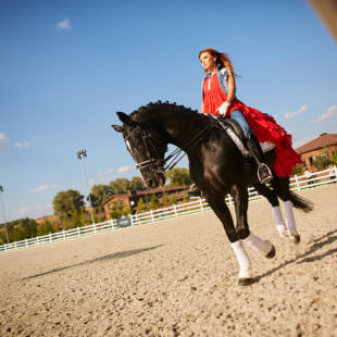 занятия по верховой езде в Киеве