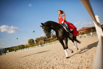 занятия по верховой езде в Киеве