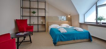 Номер Президентский Люкс в загородном отеле Chalet Equides