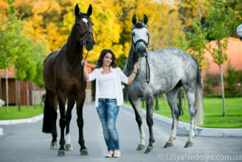 пансион для лошадей в equides club