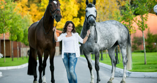 пансион для лошадей в equides club