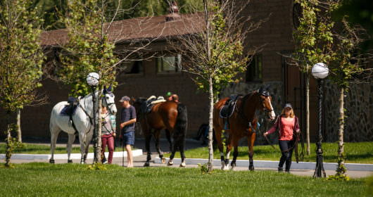 территория конного клуба