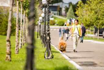 территория загородного клуба equides