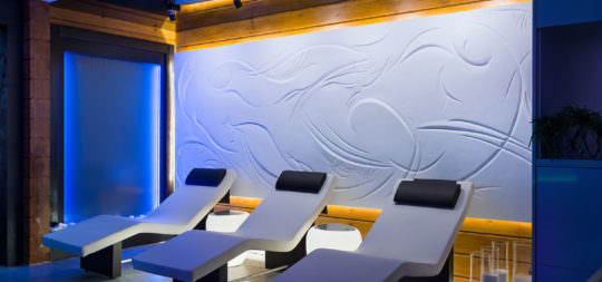 wellness equides club