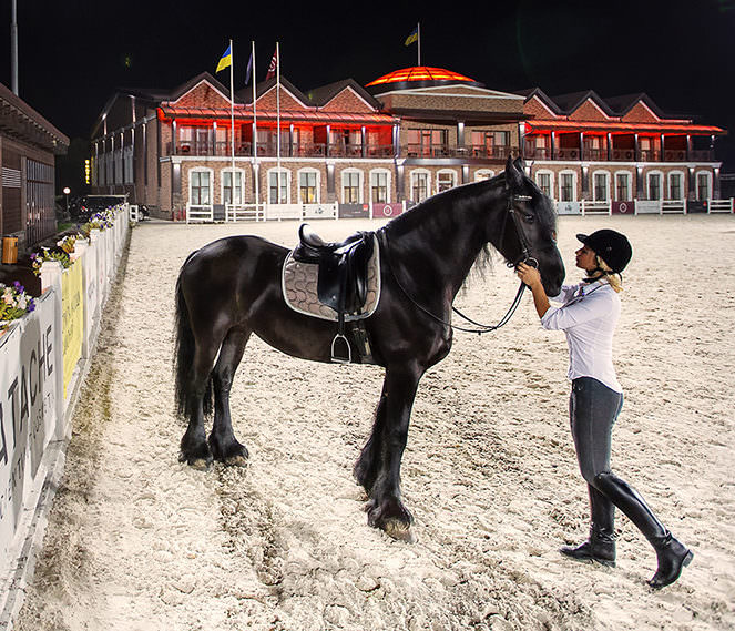 уроки верховой езды в Киеве