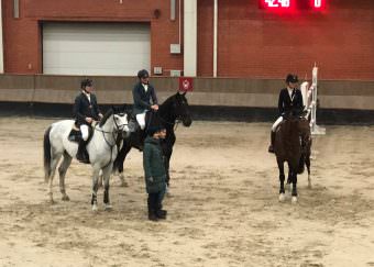 Предфинальный этап всеукраинских соревнований по конкуру в Жашкове